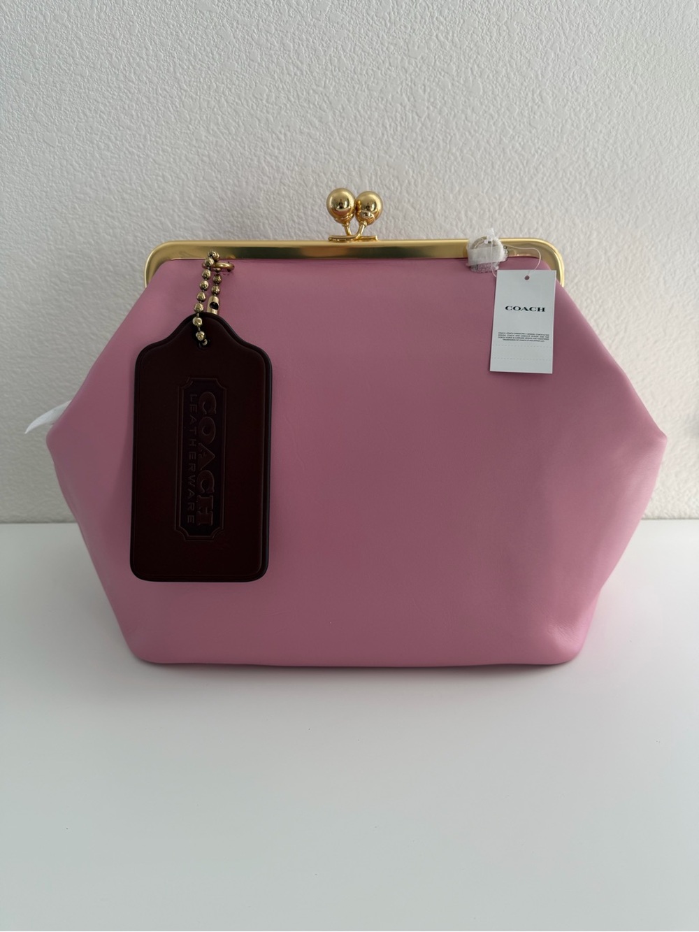 Coach XL Hangtag Bag Charm